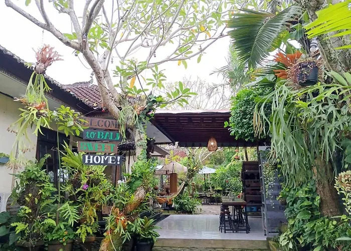 Coliving Bali Sweet Home Kost Lengkap Di Tabanan Kota