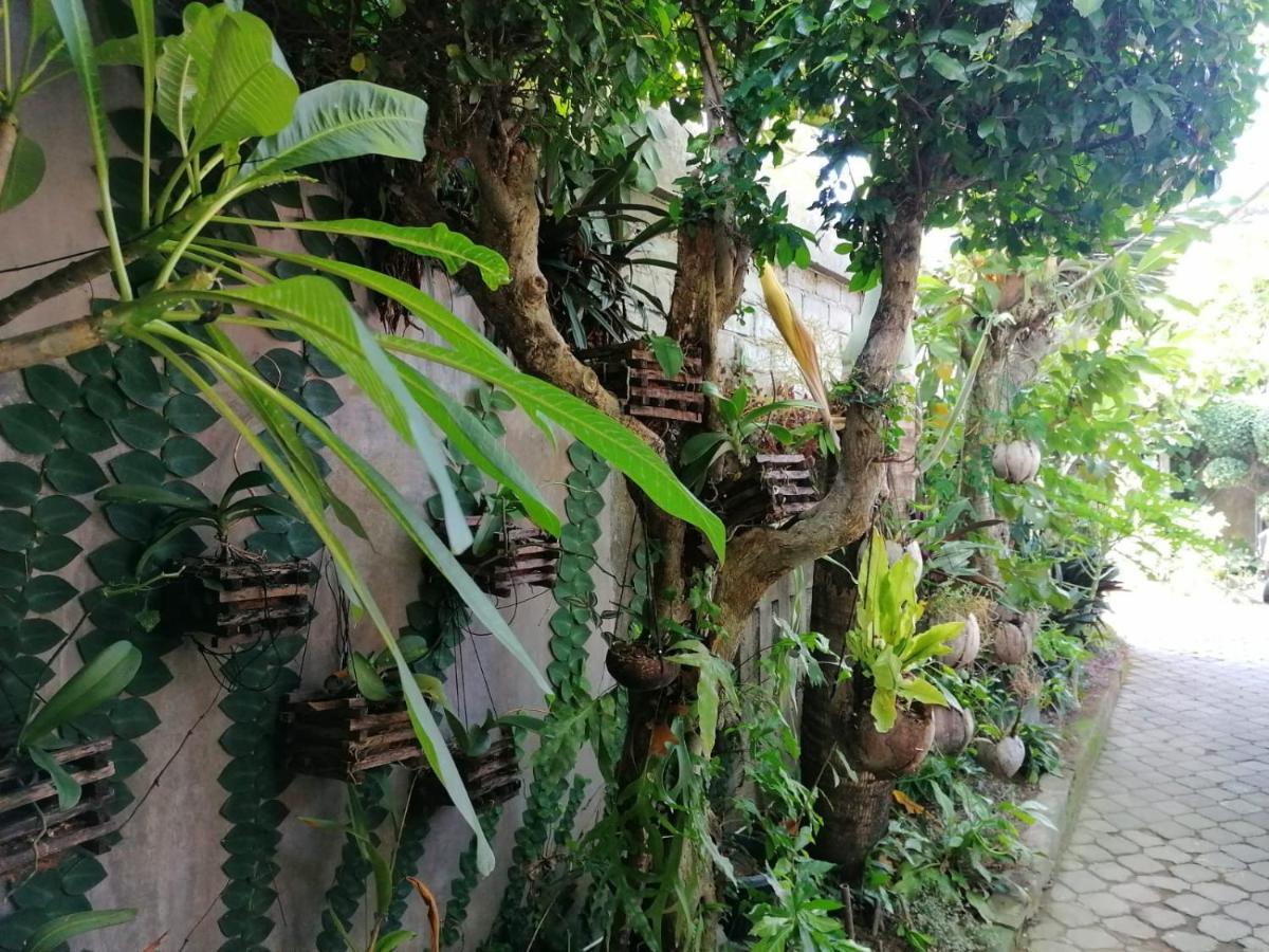 Coliving Bali Sweet Kost Lengkap Di Kota Homestay *