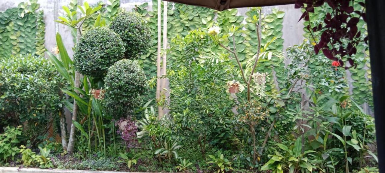 Homestay Coliving Bali Sweet Kost Lengkap Di Kota Tabanan (Bali)