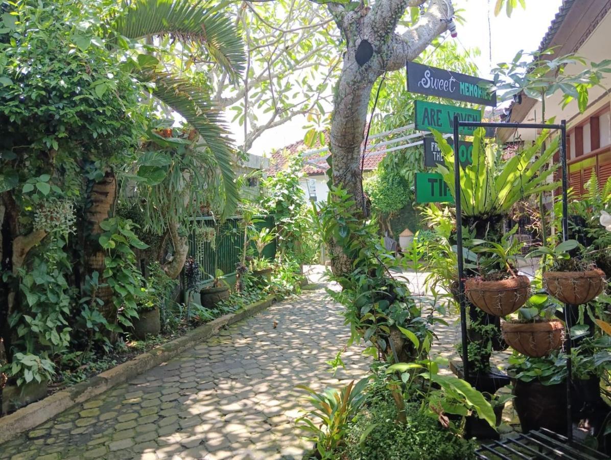 Coliving Bali Sweet Kost Lengkap Di Kota