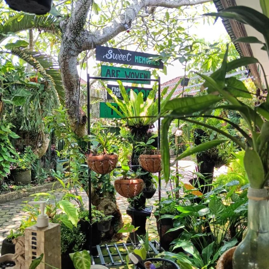 Coliving Bali Sweet Kost Lengkap Di Kota
