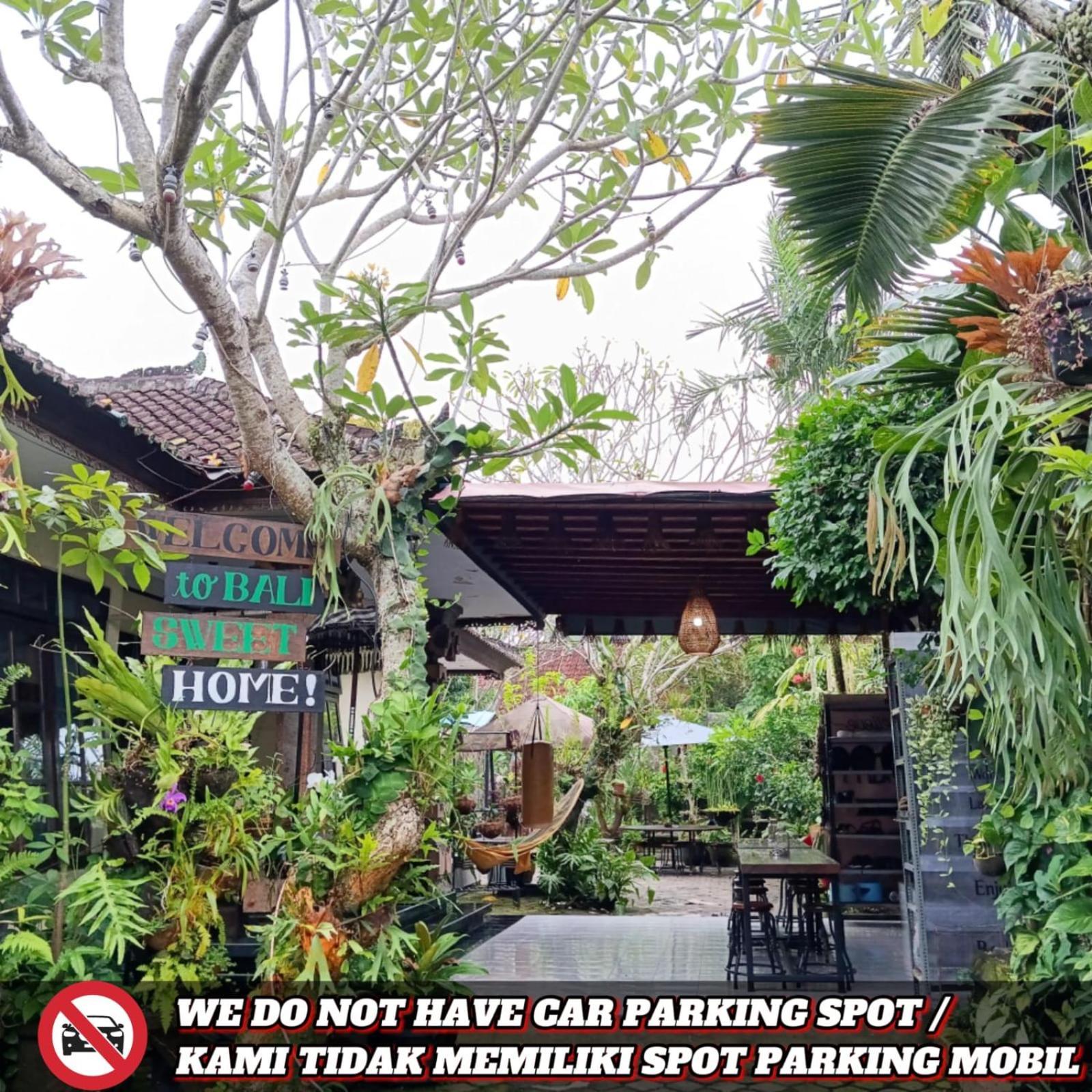 Coliving Bali Sweet Kost Lengkap Di Kota Homestay