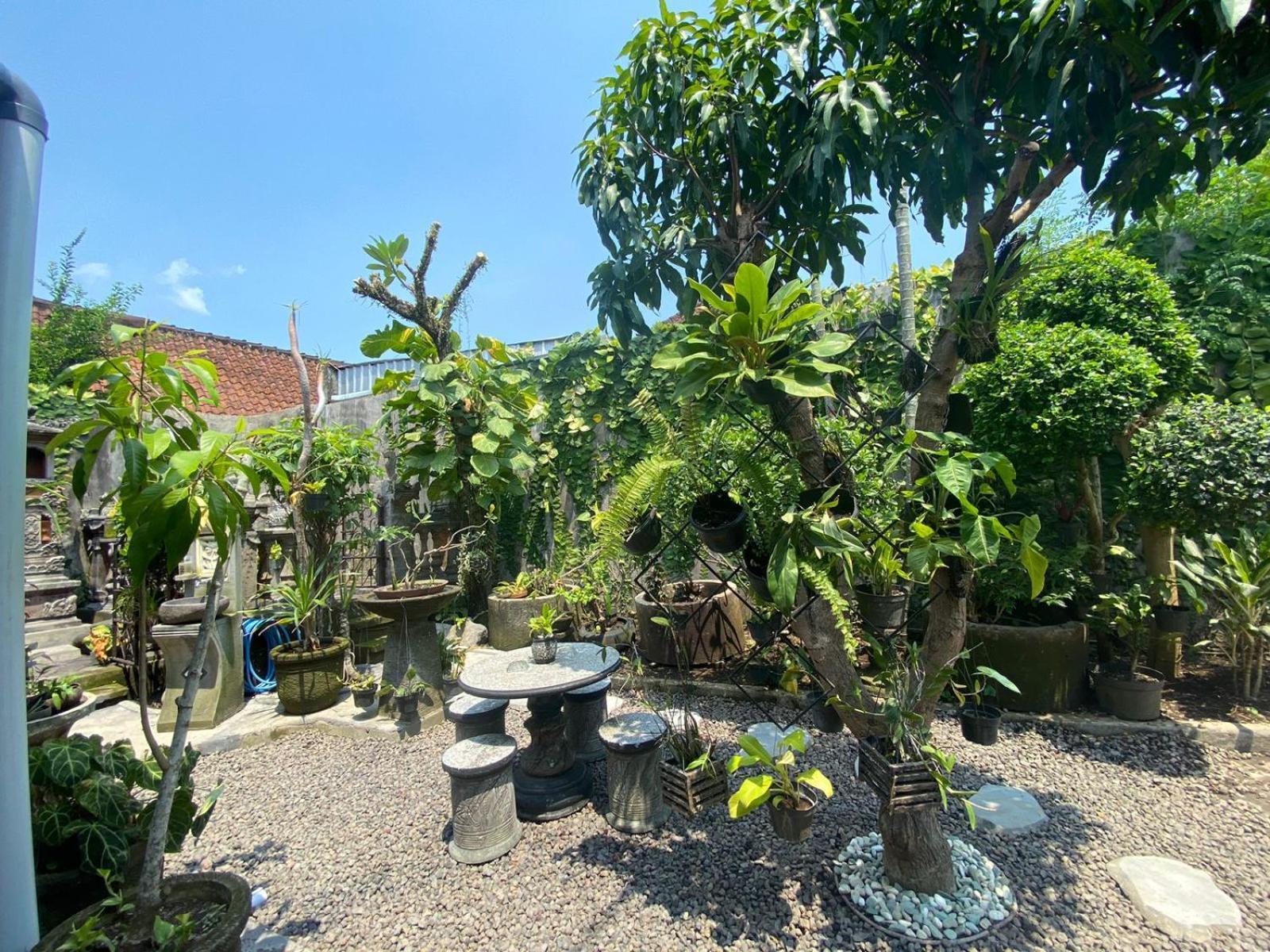 Coliving Bali Sweet Kost Lengkap Di Kota Homestay