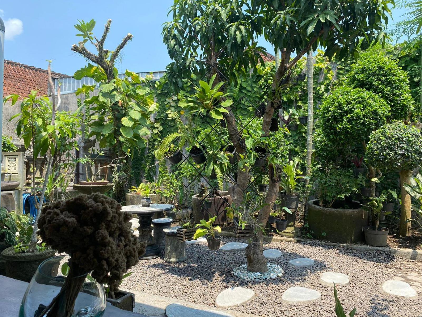 Homestay Coliving Bali Sweet Kost Lengkap Di Kota *