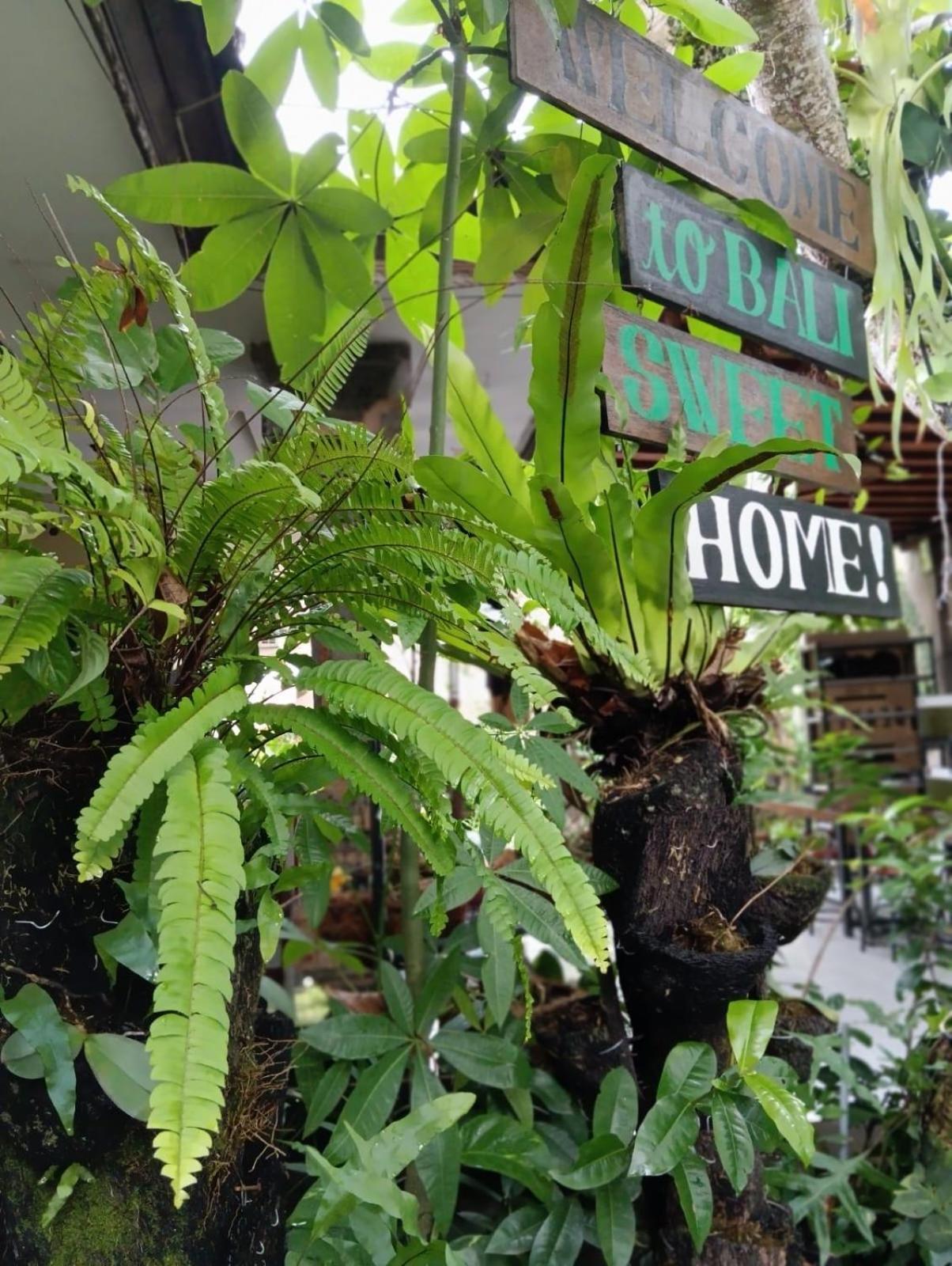 Coliving Bali Sweet Kost Lengkap Di Kota Homestay Tabanan (Bali)