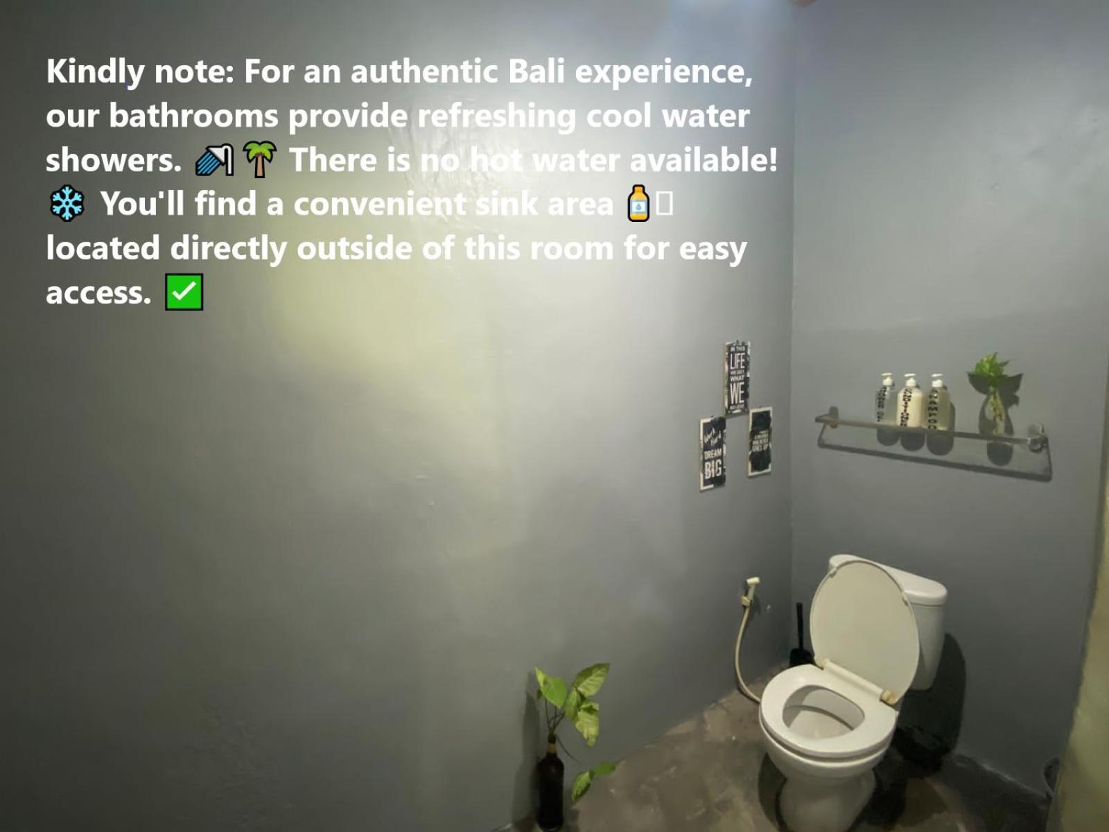 Coliving Bali Sweet Kost Lengkap Di Kota Homestay *